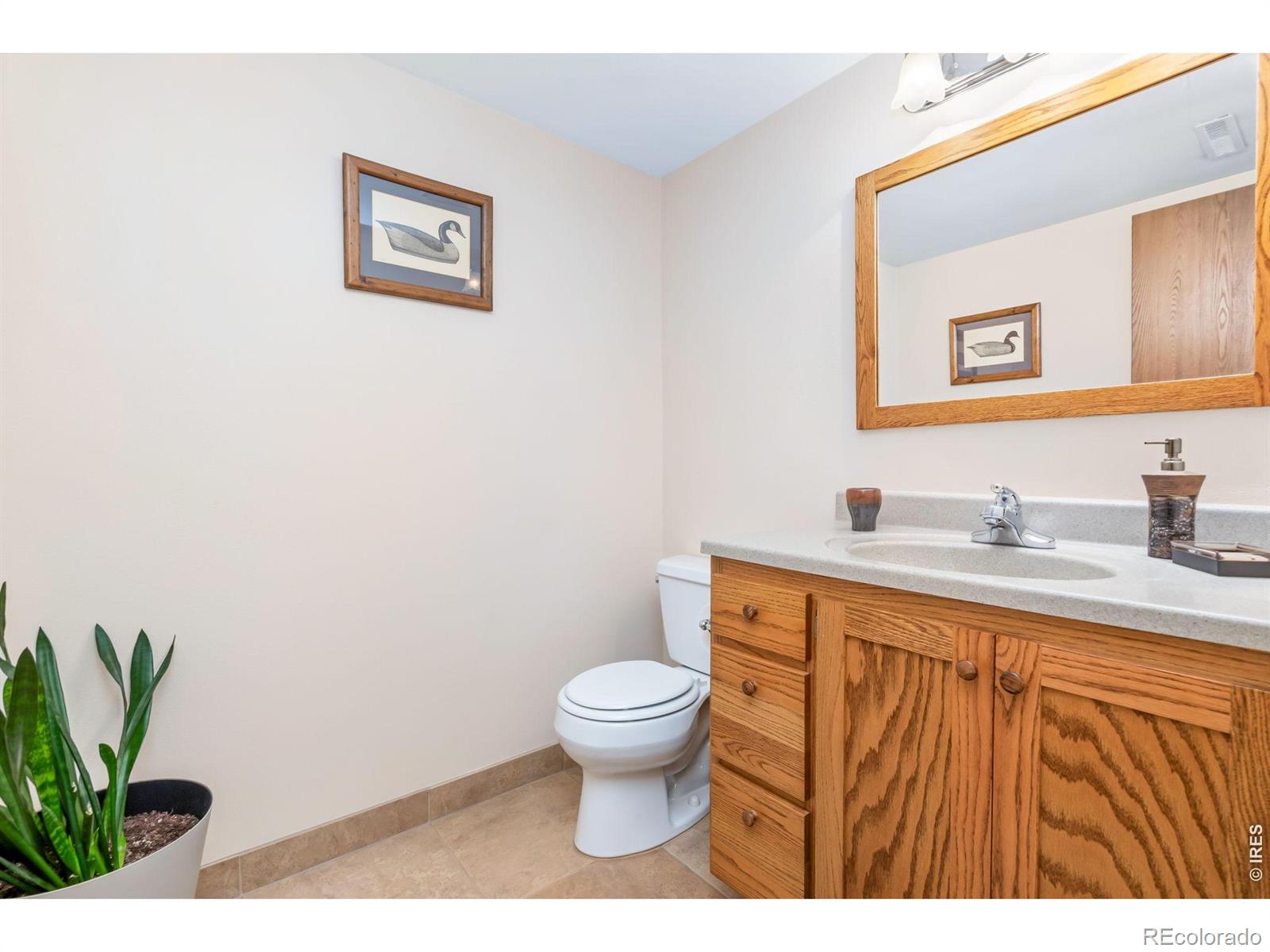 2813 Dundee Court Fort Collins CO 80525