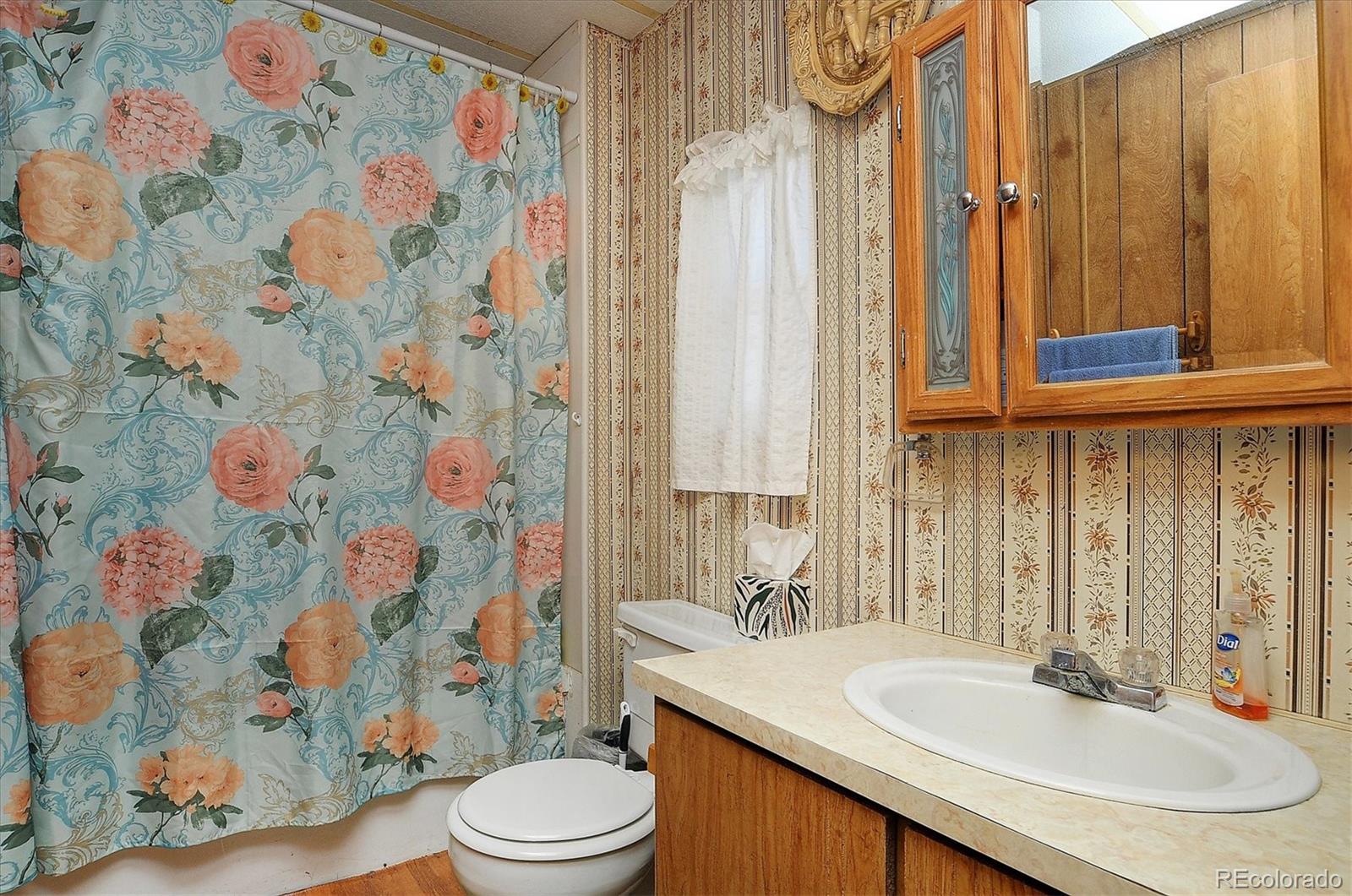 602 Vine Street Salida CO 81201