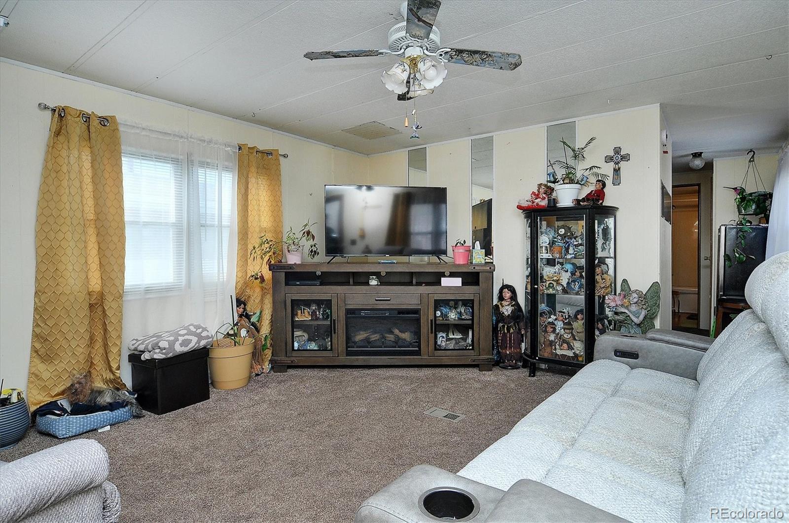 602 Vine Street Salida CO 81201