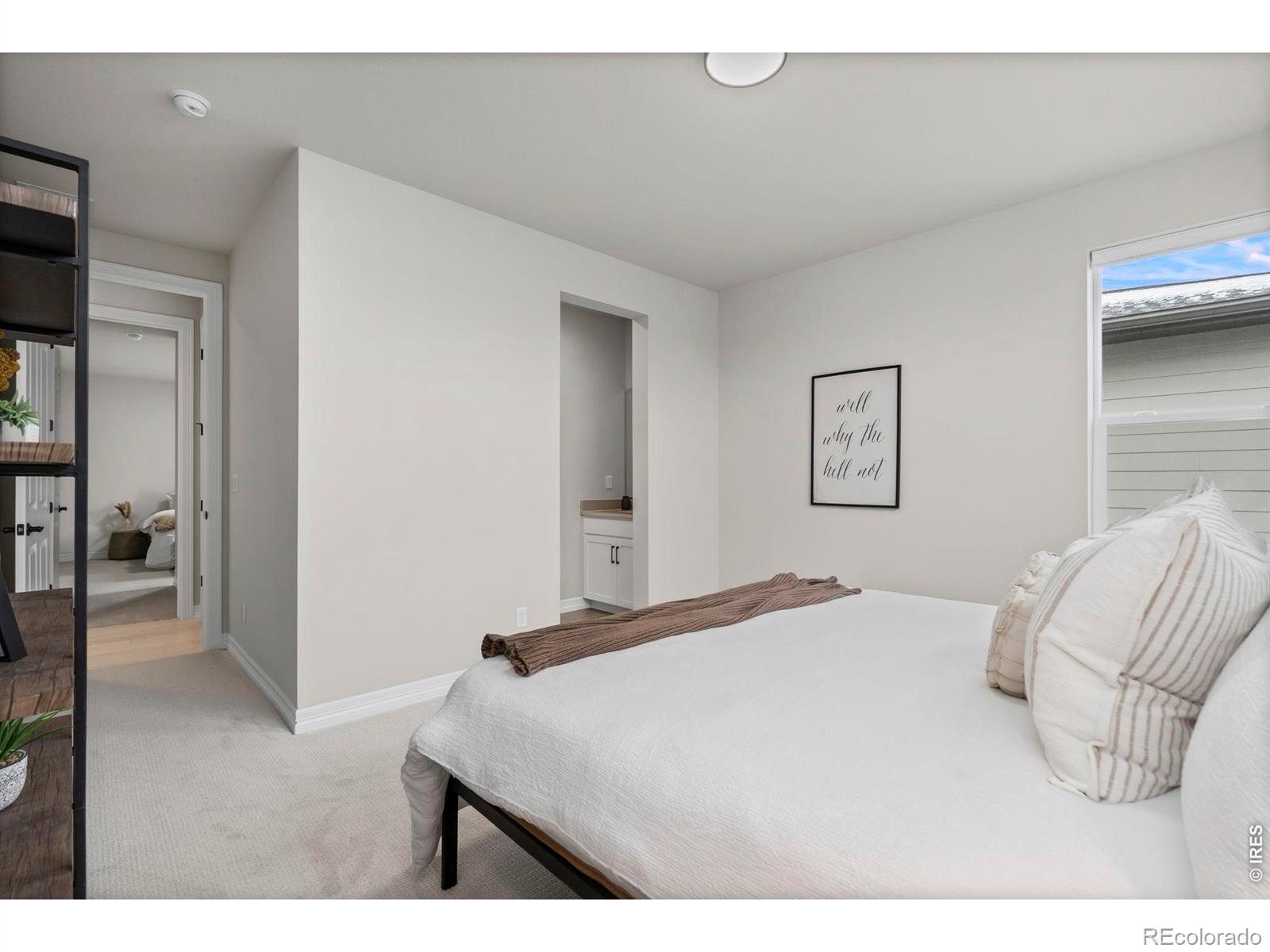 4344 Shivaree Court Timnath CO 80547