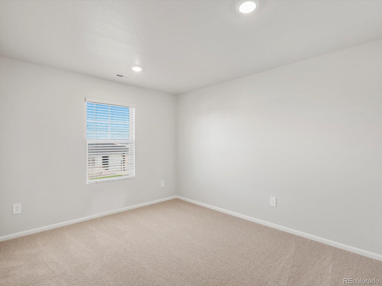 1206 Spring Creek Drive Windsor CO 80550