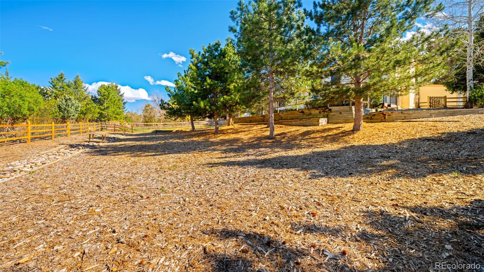 430 Picasso Court Colorado Springs CO 80921