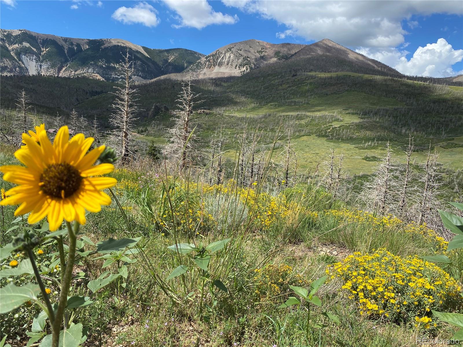1833 Yellowstone Creek Road La Veta CO 81055
