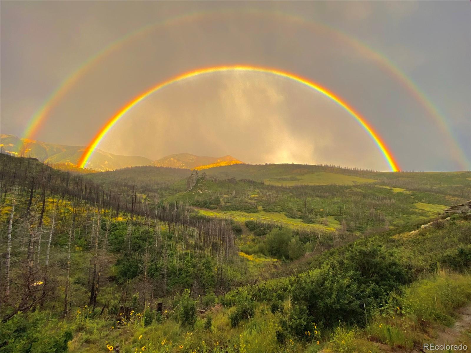 1833 Yellowstone Creek Road La Veta CO 81055
