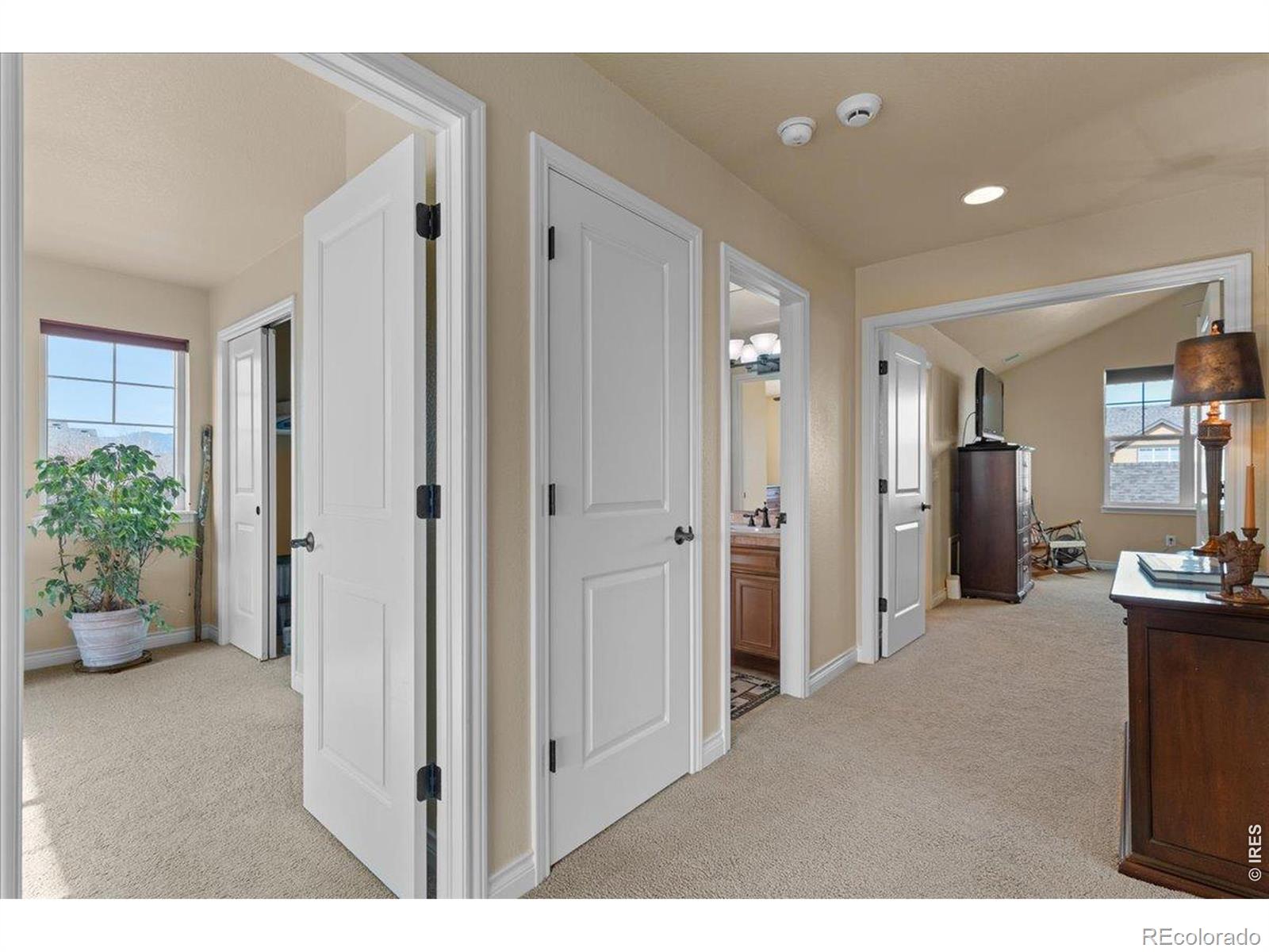 1624 Chokeberry Street Berthoud CO 80513