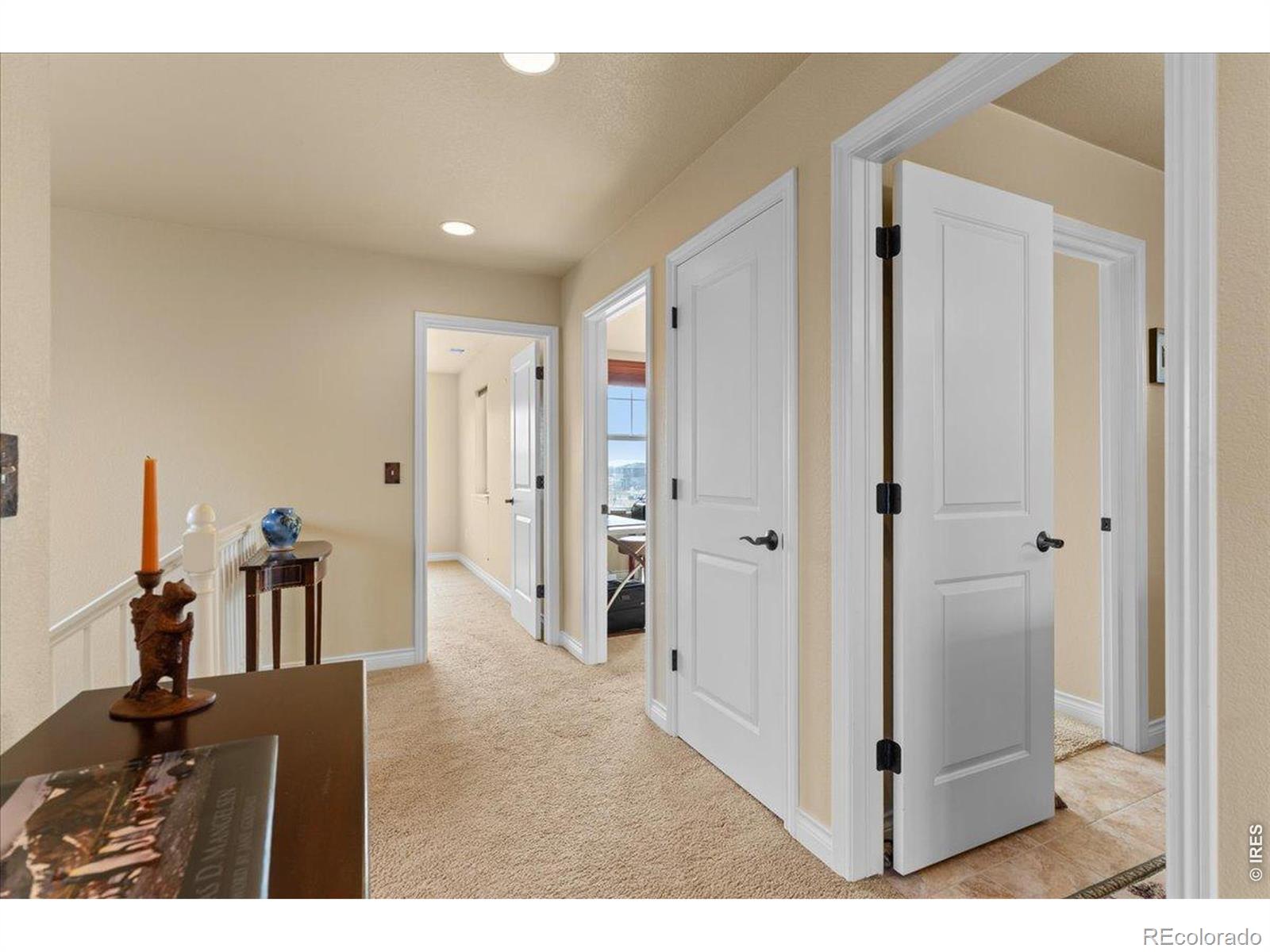 1624 Chokeberry Street Berthoud CO 80513