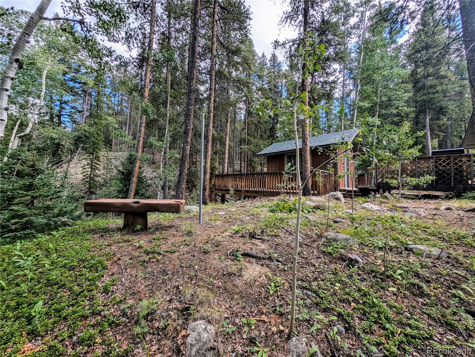 23795 County Road 162 Nathrop CO 81236