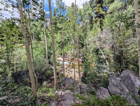 23795 County Road 162 Nathrop CO 81236