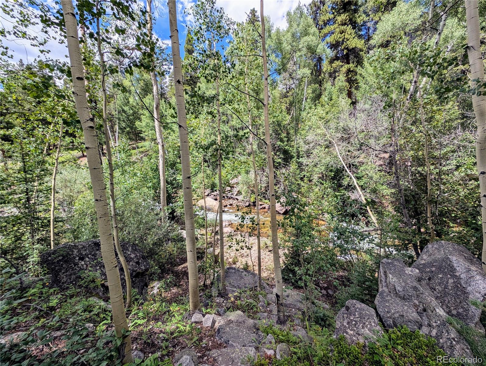 23795 County Road 162 Nathrop CO 81236