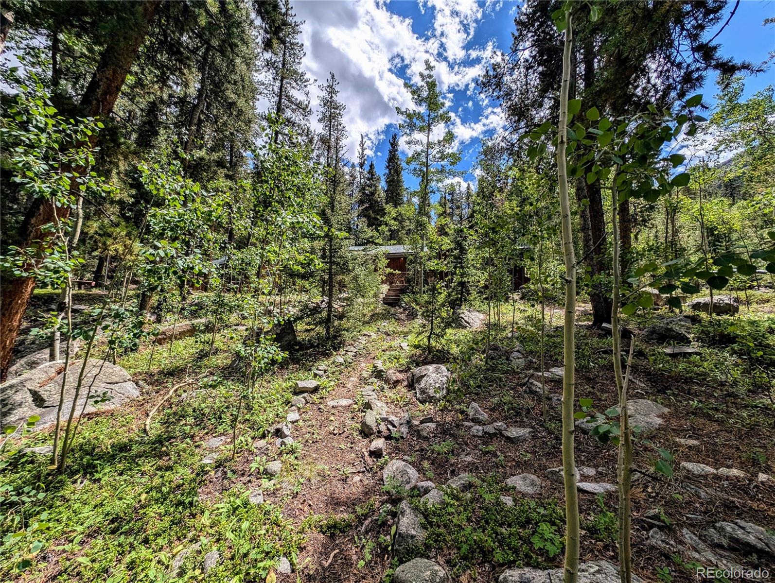 23795 County Road 162 Nathrop CO 81236