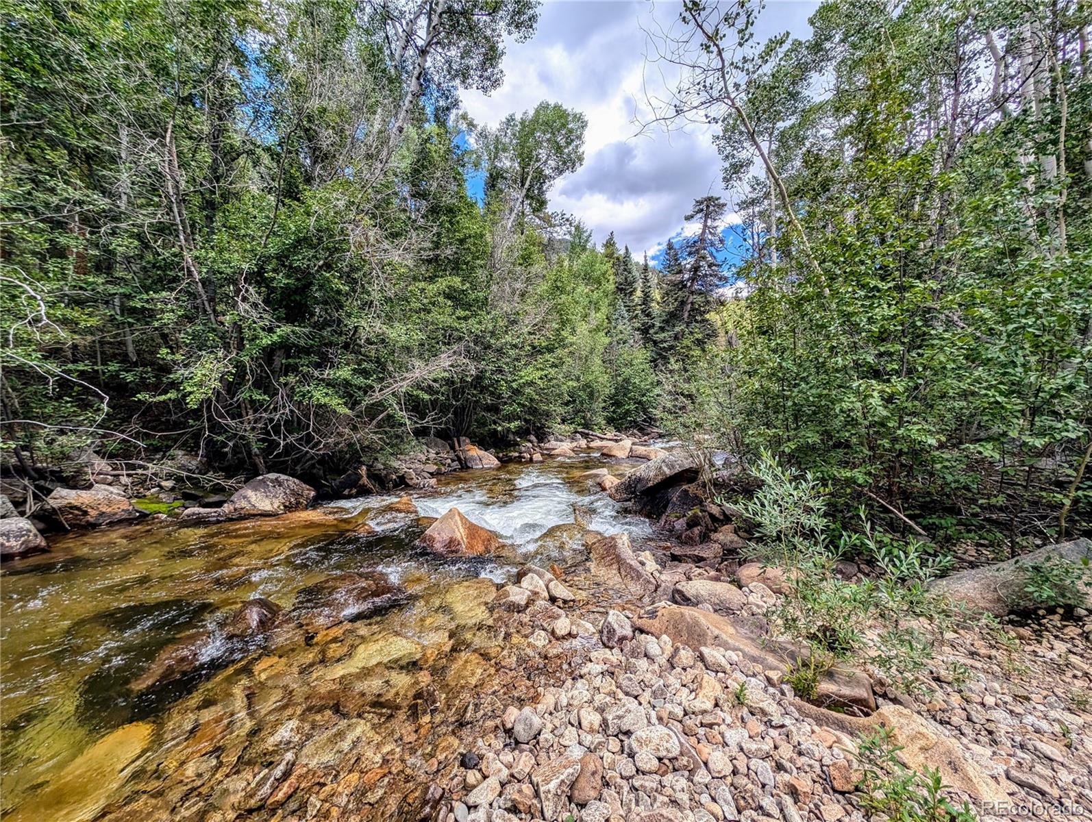 23795 County Road 162 Nathrop CO 81236