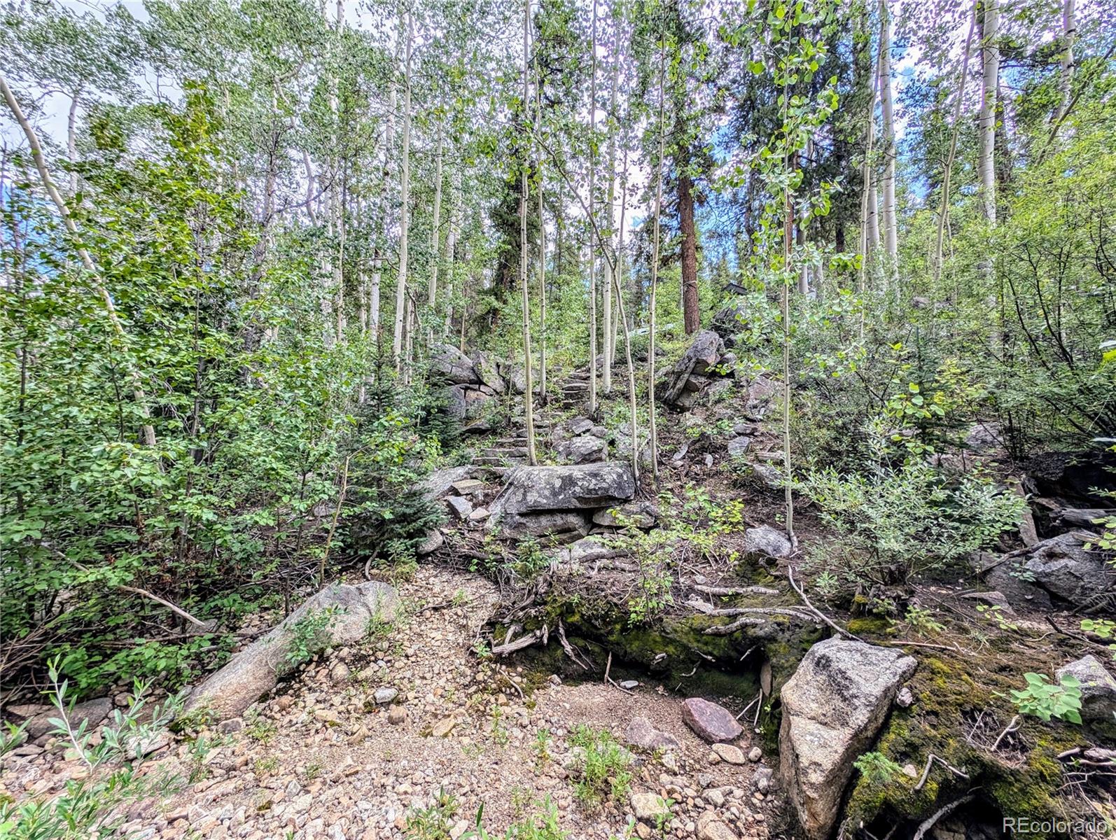 23795 County Road 162 Nathrop CO 81236