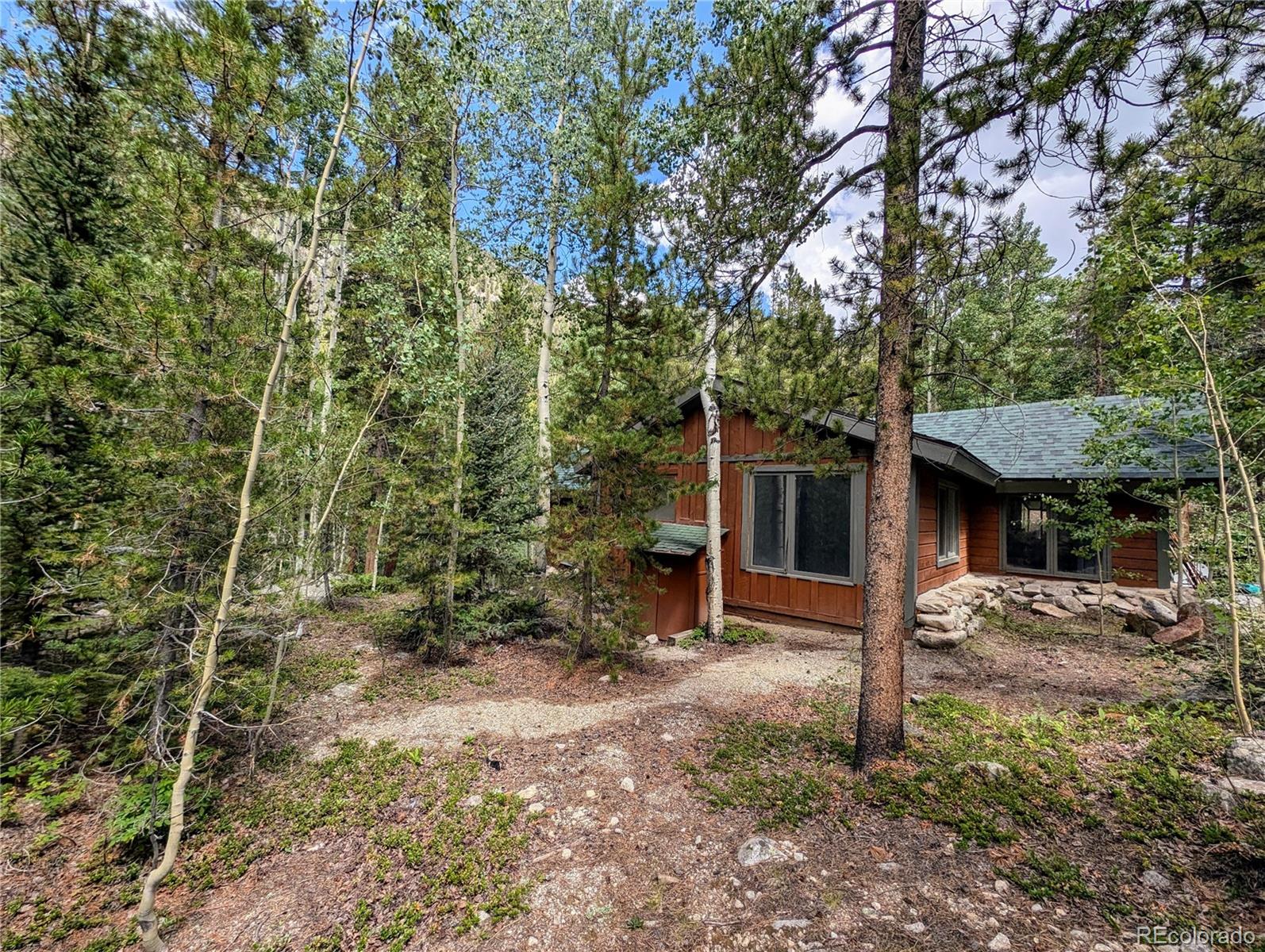 23795 County Road 162 Nathrop CO 81236