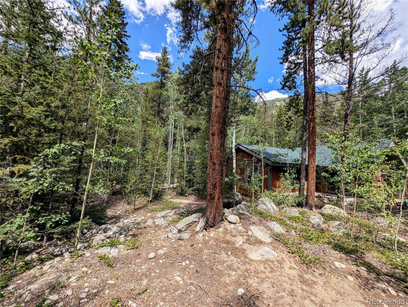 23795 County Road 162 Nathrop CO 81236