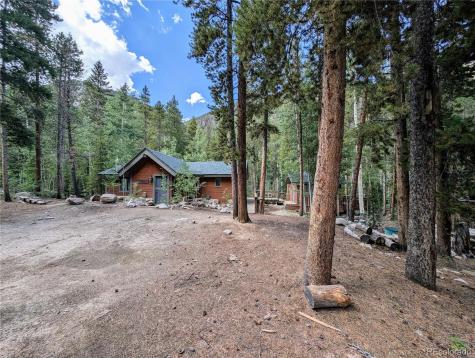 23795 County Road 162 Nathrop CO 81236