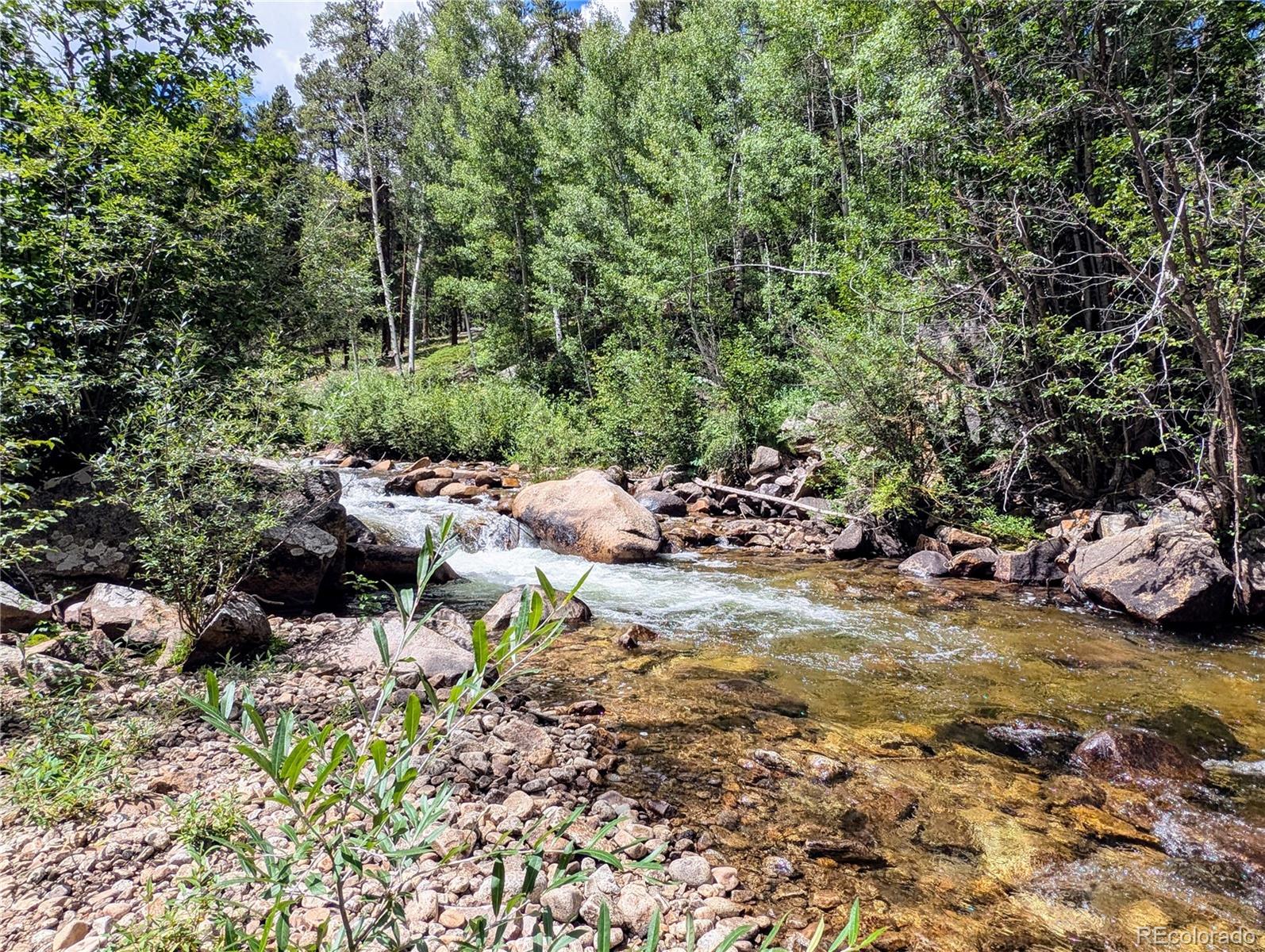 23795 County Road 162 Nathrop CO 81236