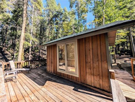 23795 County Road 162 Nathrop CO 81236