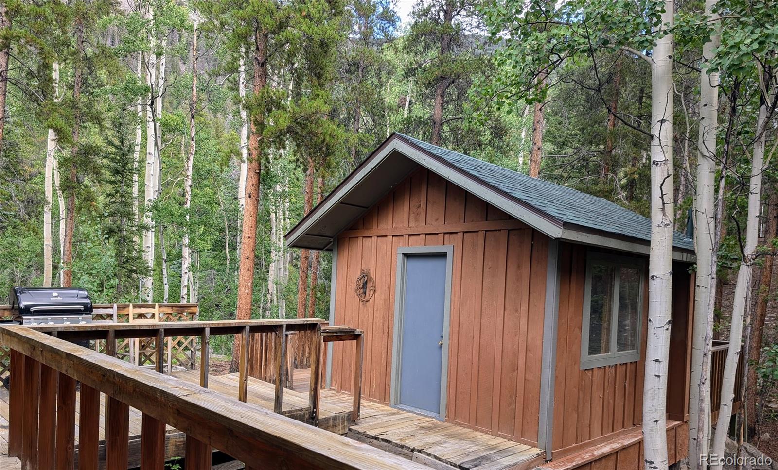 23795 County Road 162 Nathrop CO 81236