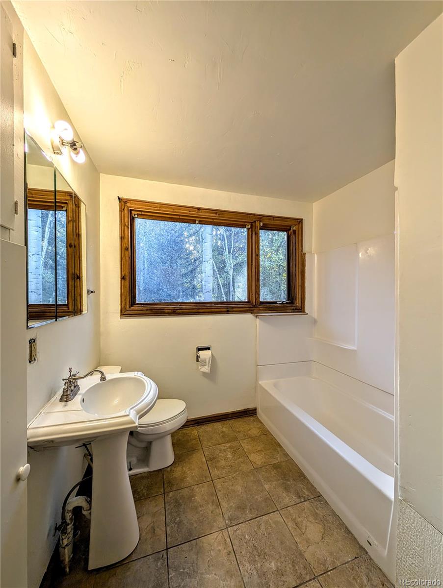 23795 County Road 162 Nathrop CO 81236