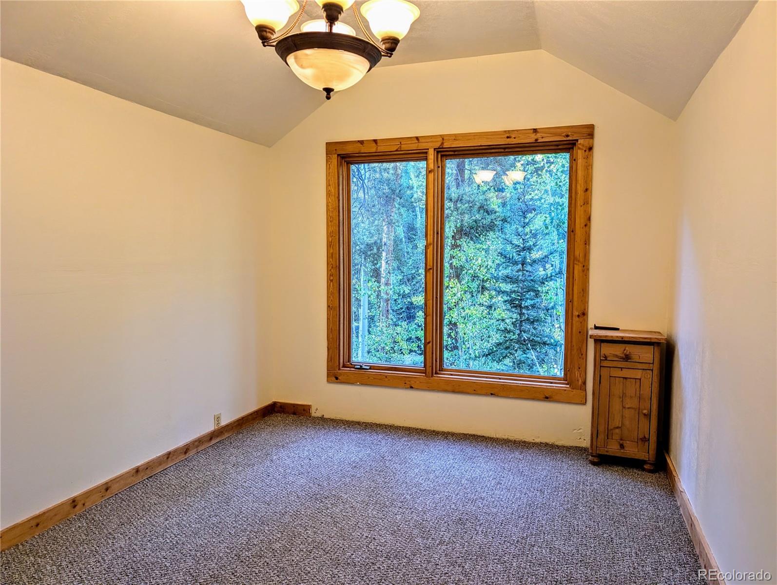 23795 County Road 162 Nathrop CO 81236