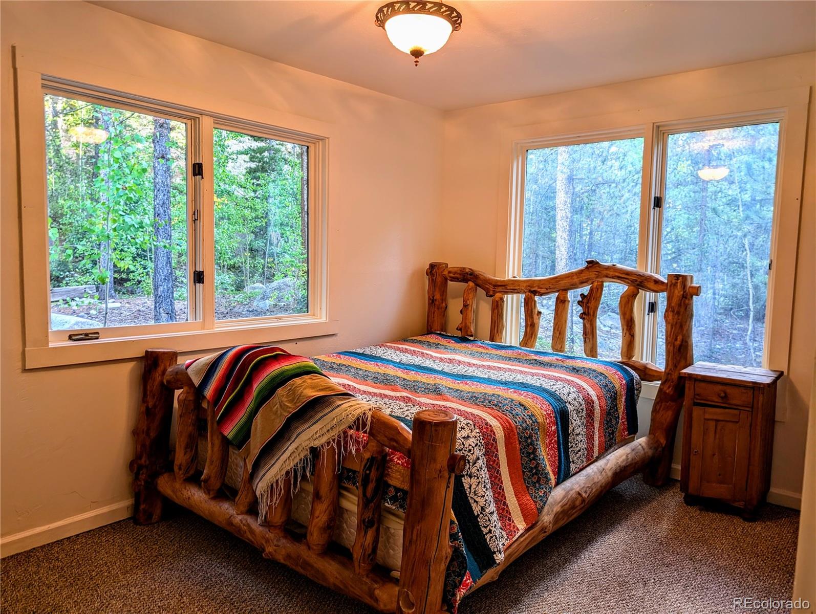 23795 County Road 162 Nathrop CO 81236