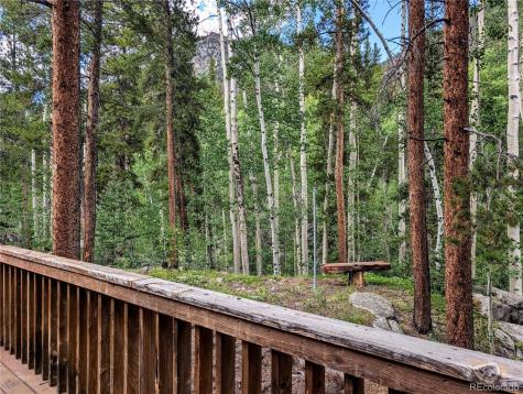 23795 County Road 162 Nathrop CO 81236