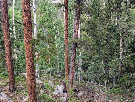 23795 County Road 162 Nathrop CO 81236