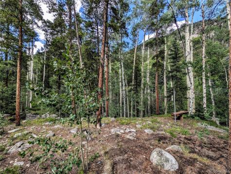 23795 County Road 162 Nathrop CO 81236