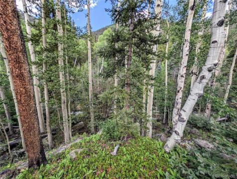 23795 County Road 162 Nathrop CO 81236