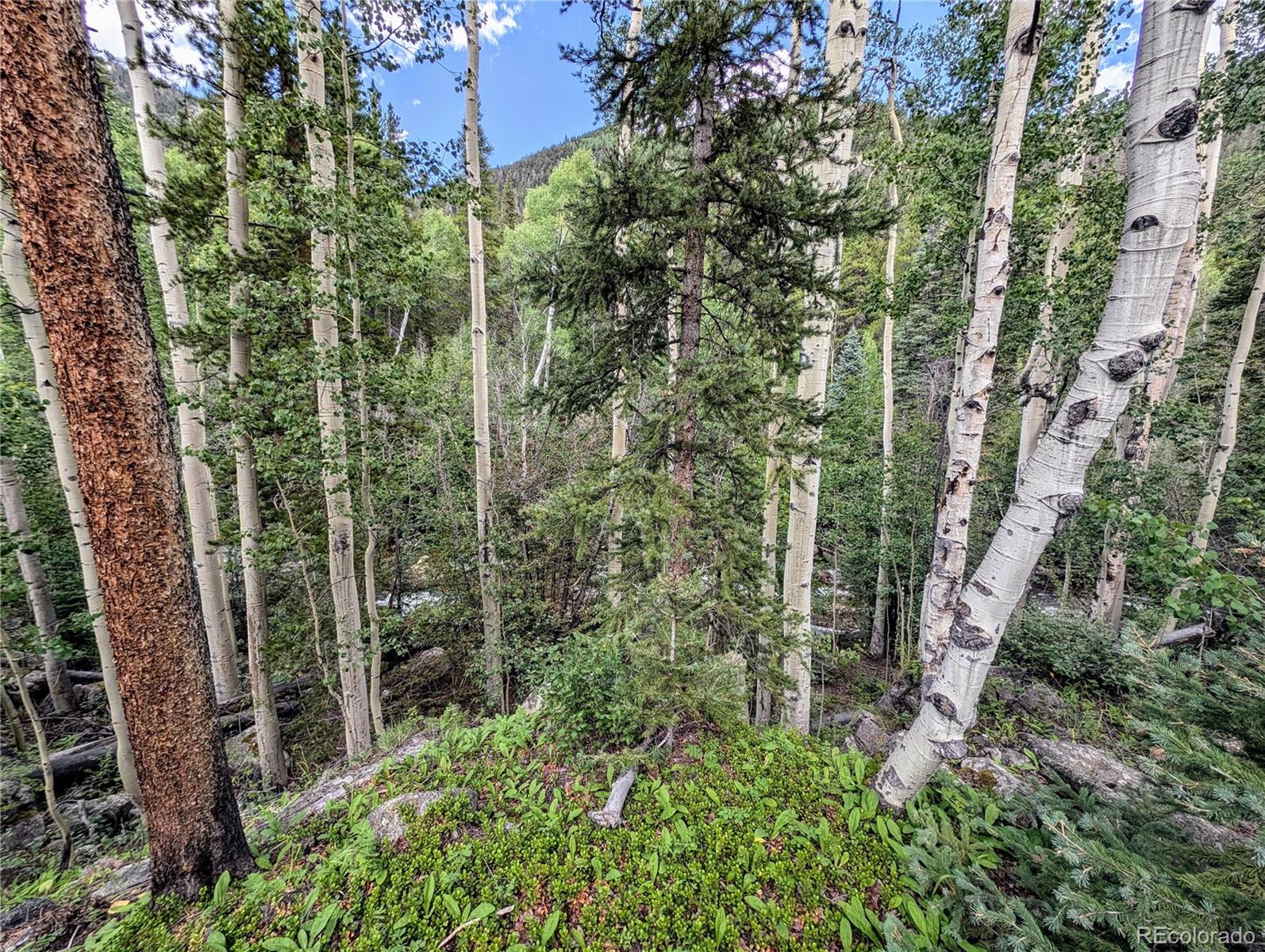 23795 County Road 162 Nathrop CO 81236