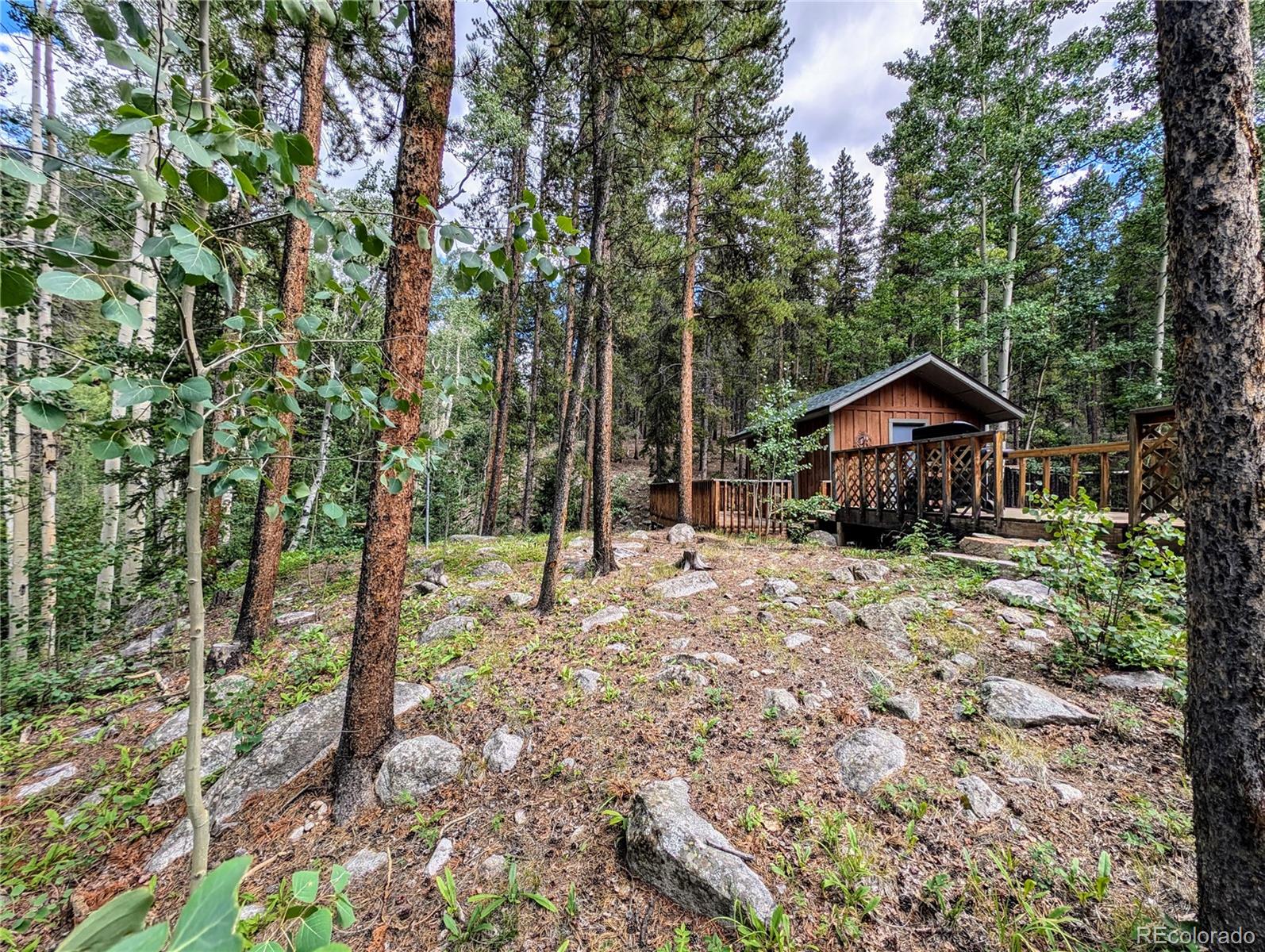 23795 County Road 162 Nathrop CO 81236