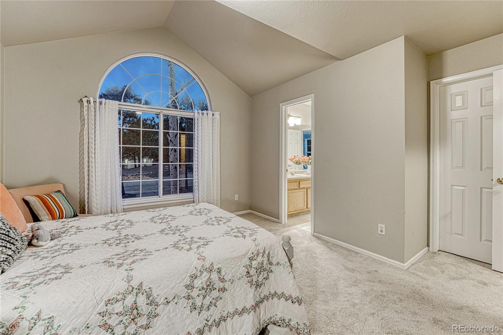 15585 Falcon Ridge Court Colorado Springs CO 80921