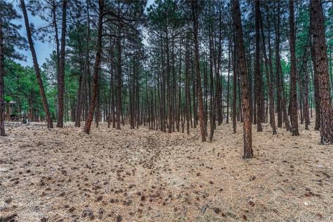 15585 Falcon Ridge Court Colorado Springs CO 80921