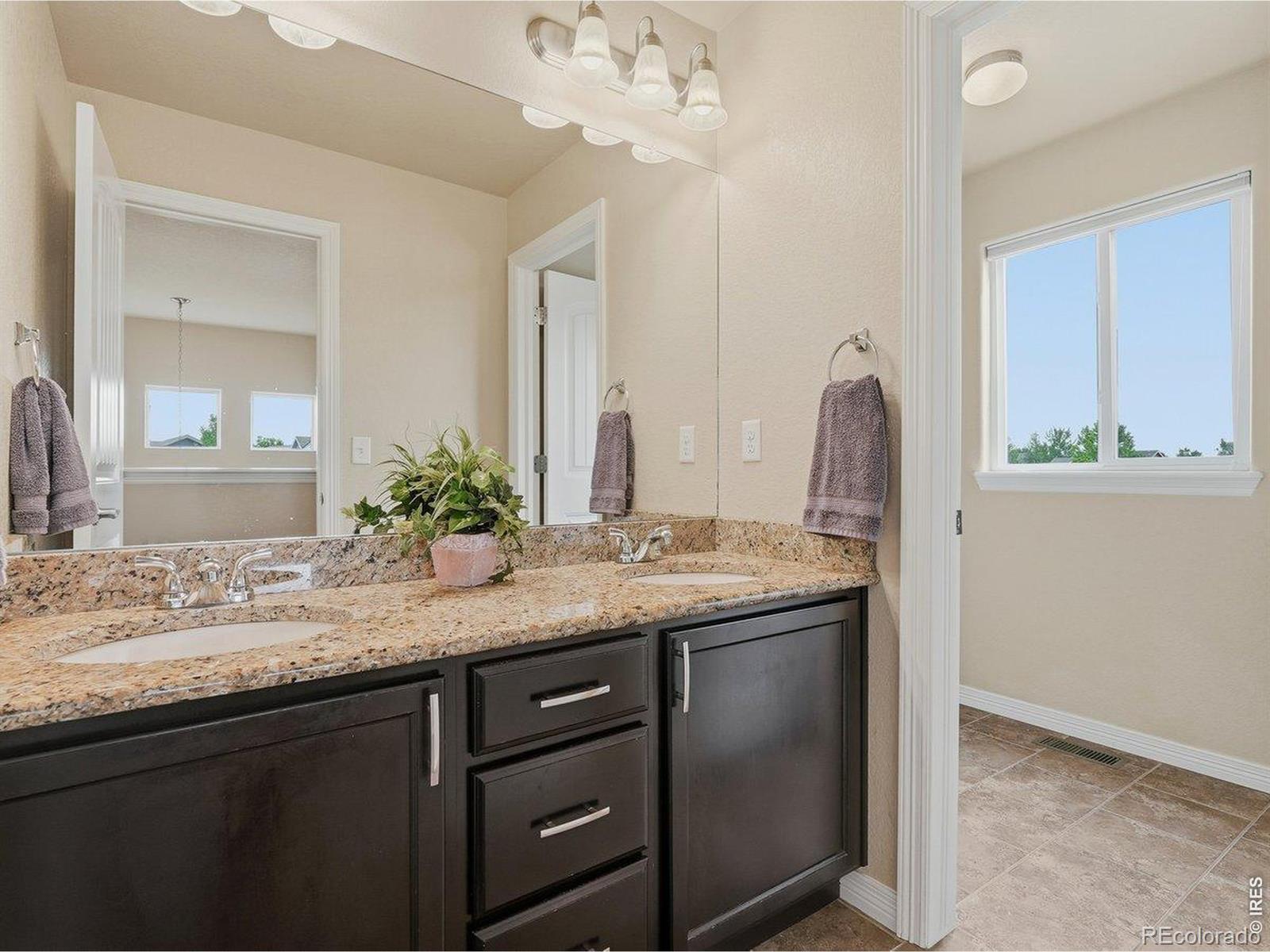 623 Goose Lake Court Windsor CO 80550