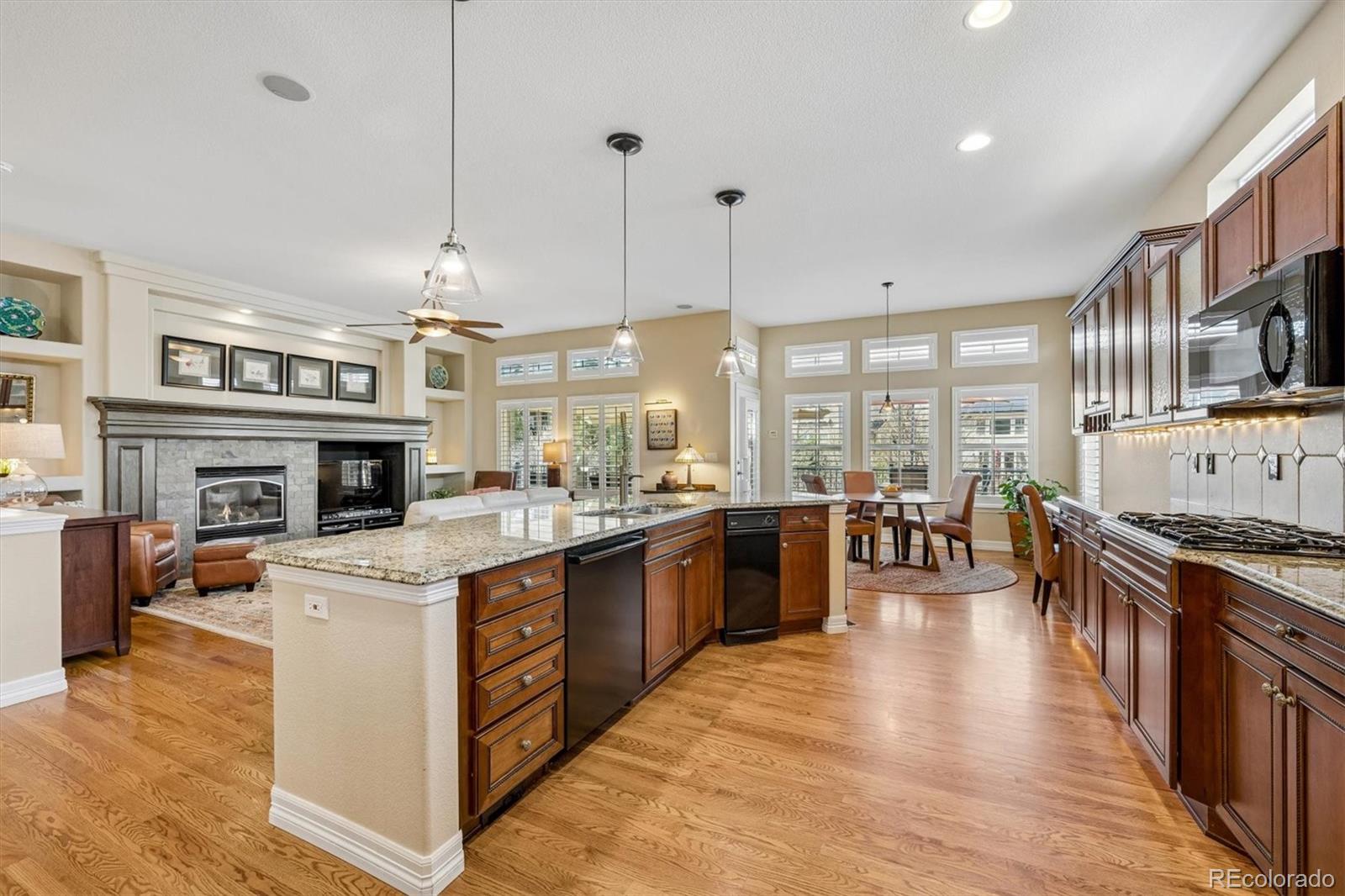 1505 Stonehill Court Castle Rock CO 80104