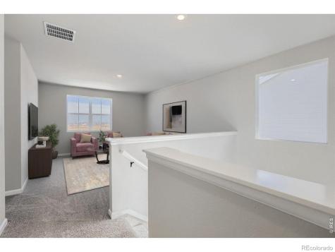 678 Noola Street Windsor CO 80550