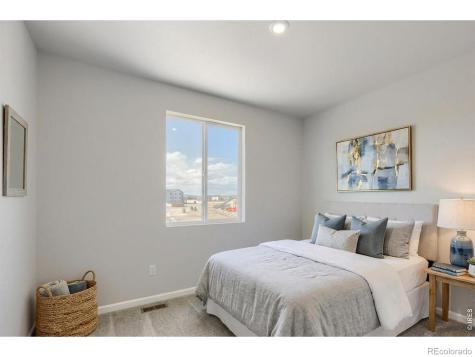678 Noola Street Windsor CO 80550