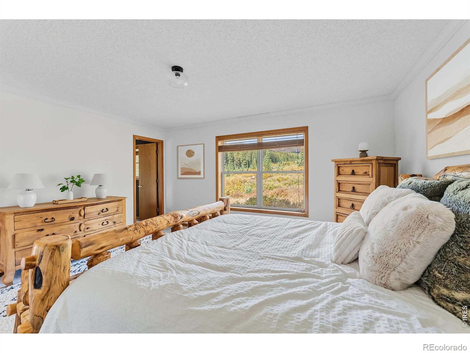 162 S Silk Sisters Place Fairplay CO 80440