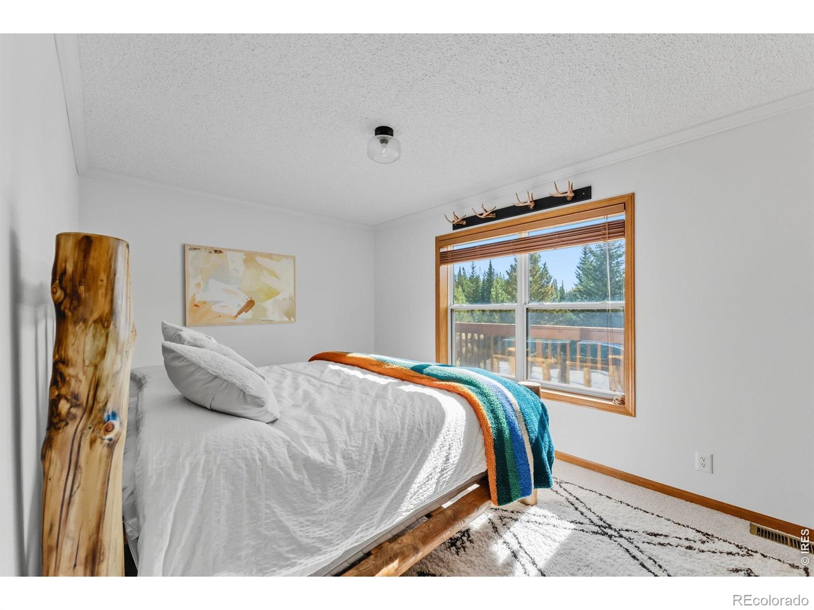 162 S Silk Sisters Place Fairplay CO 80440
