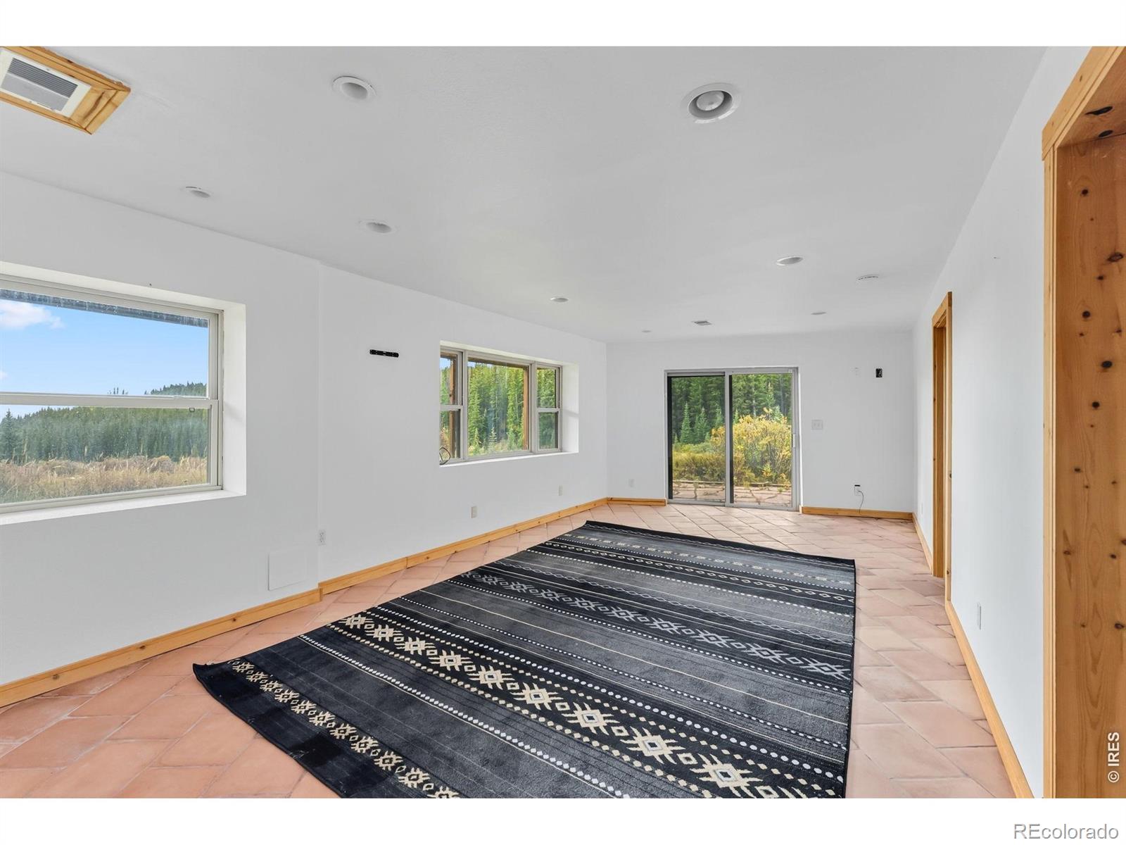 162 S Silk Sisters Place Fairplay CO 80440