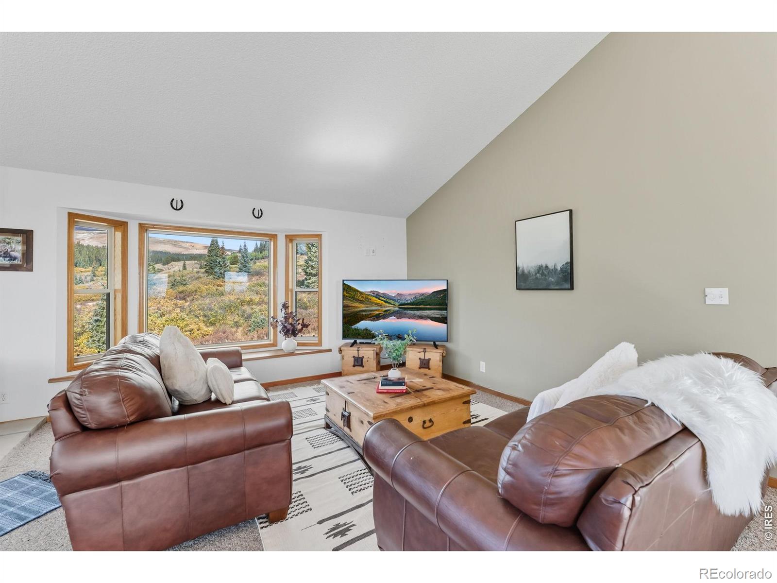 162 S Silk Sisters Place Fairplay CO 80440