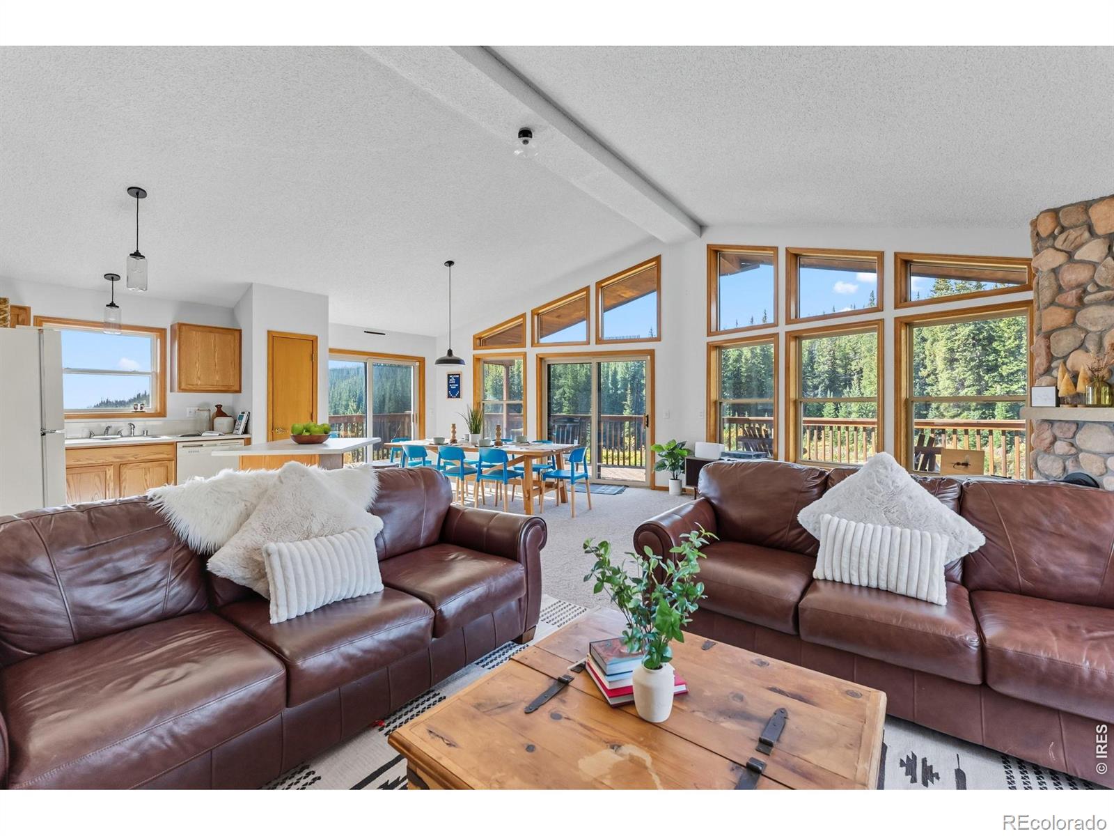 162 S Silk Sisters Place Fairplay CO 80440