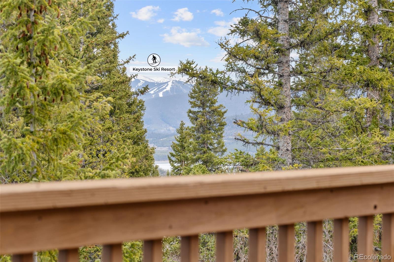 91795 Ryan Gulch Road Silverthorne CO 80498
