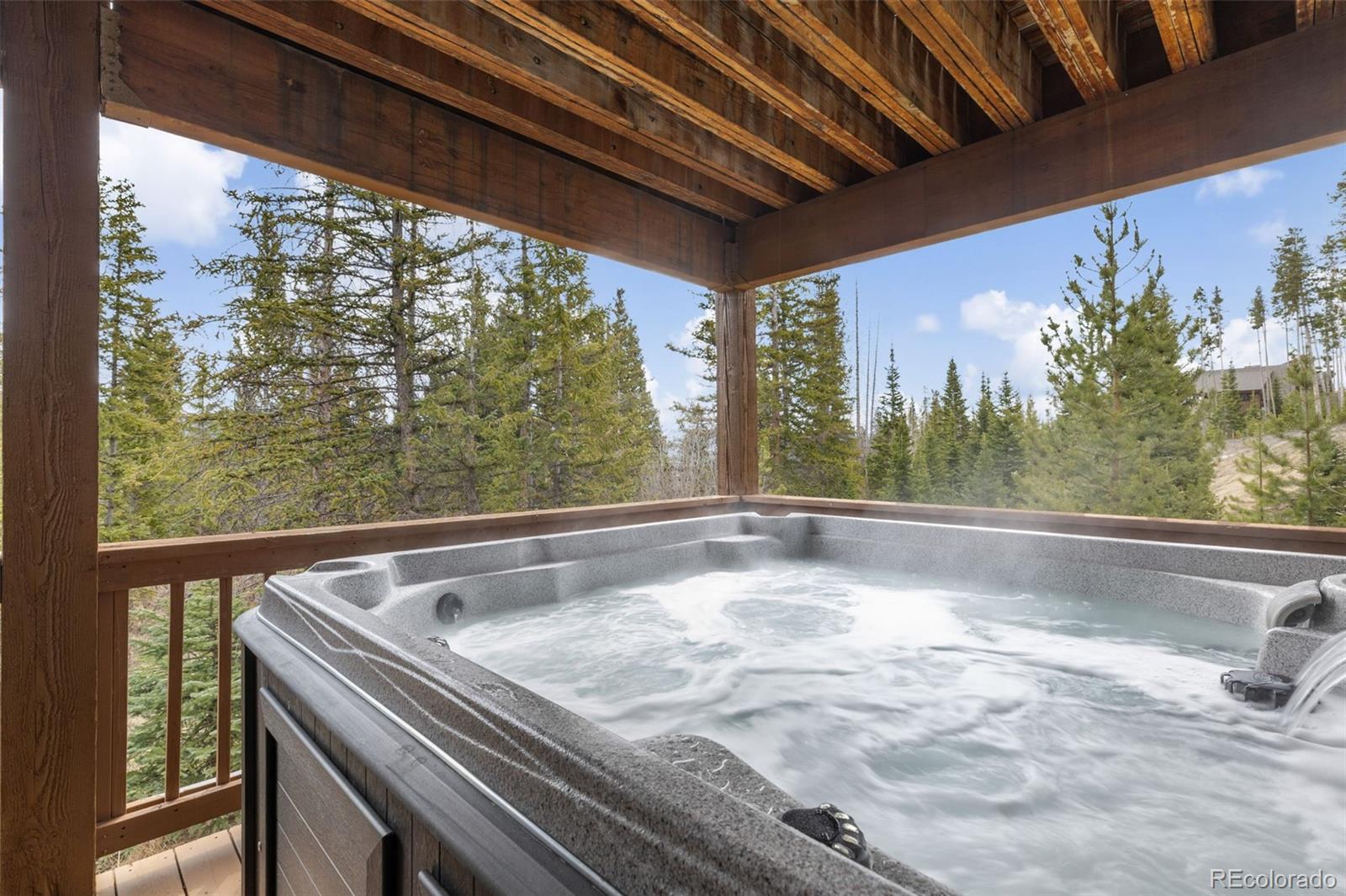 91795 Ryan Gulch Road Silverthorne CO 80498