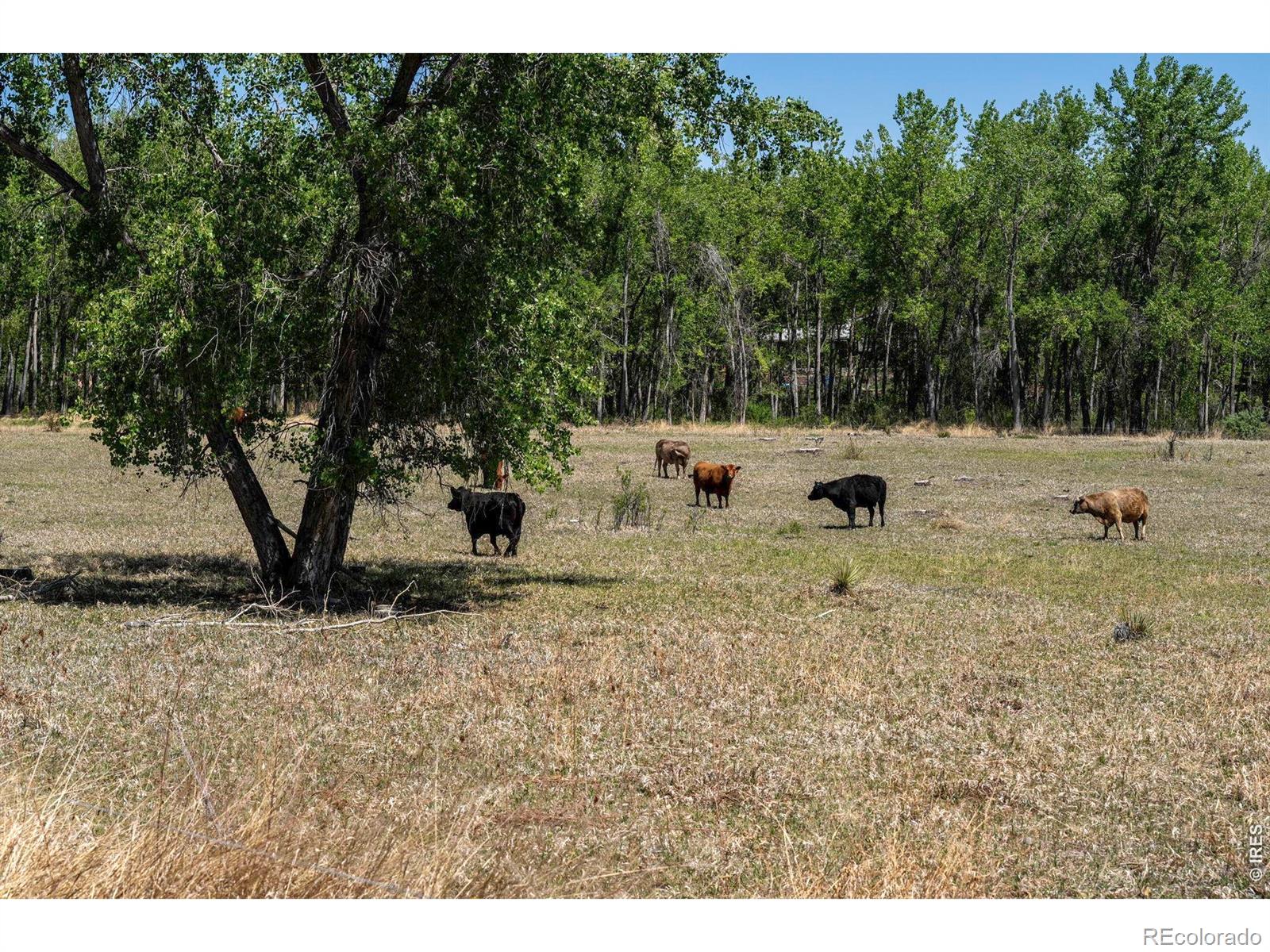 2124 W Centennial Drive Louisville CO 80027