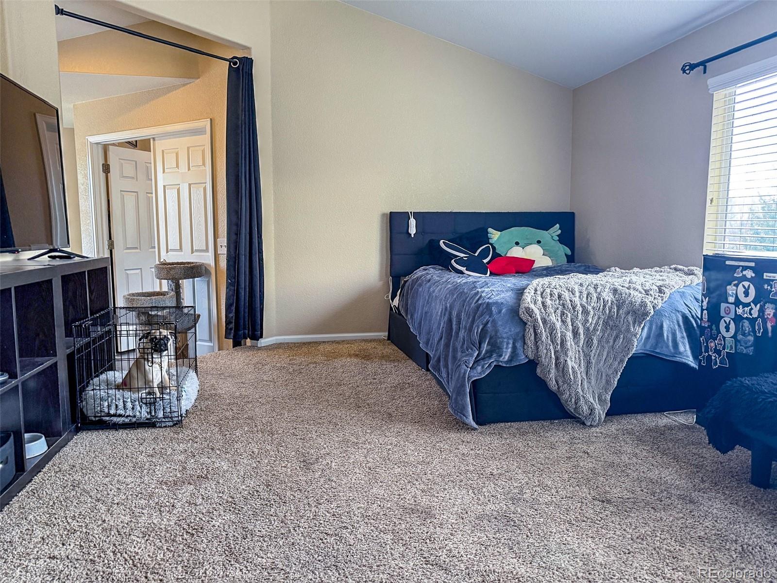 1823 Canvasback Drive Johnstown CO 80534