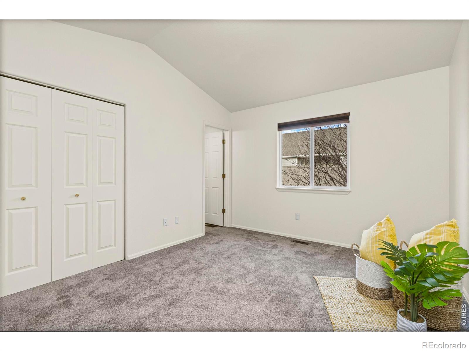 3312 Firewater Lane Wellington CO 80549