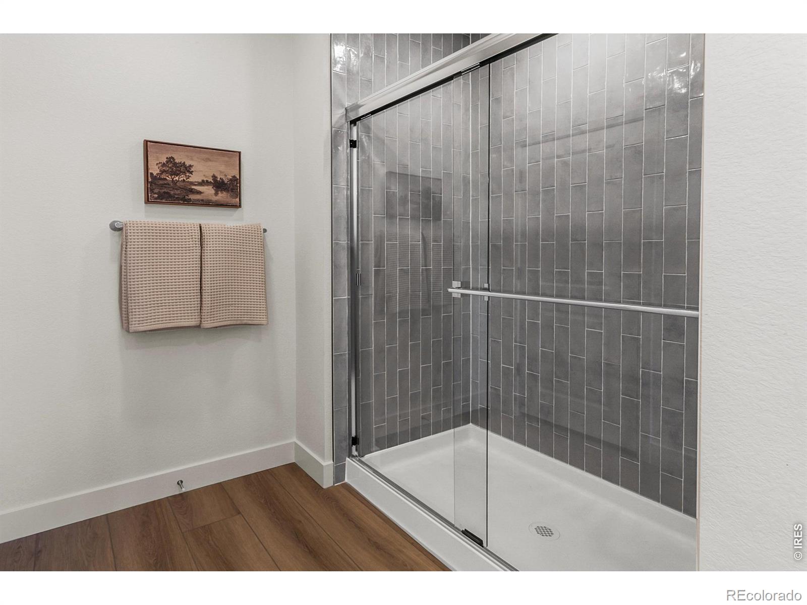 5473 Drehle Street Timnath CO 80547