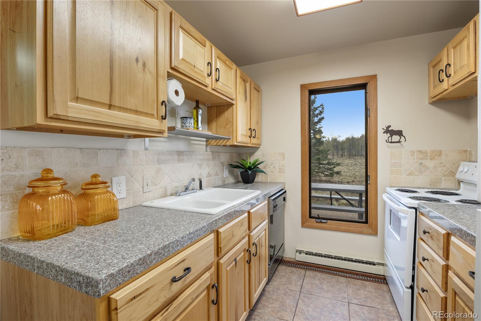275 Vulture Lane Jefferson CO 80456