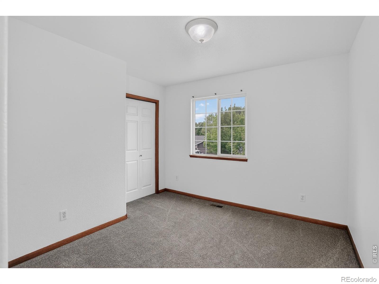 430 Blue Azurite Avenue Loveland CO 80537